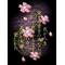 [D:F9D9]秘密の花園町[D:F9D9]
