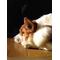 [D:F8E2]ｐｈｏｔｏ