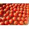 WE[A:F378]TOMATO[A:F7F4]!!![A:F38F]