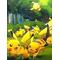 ポケモン[A:F7B2]